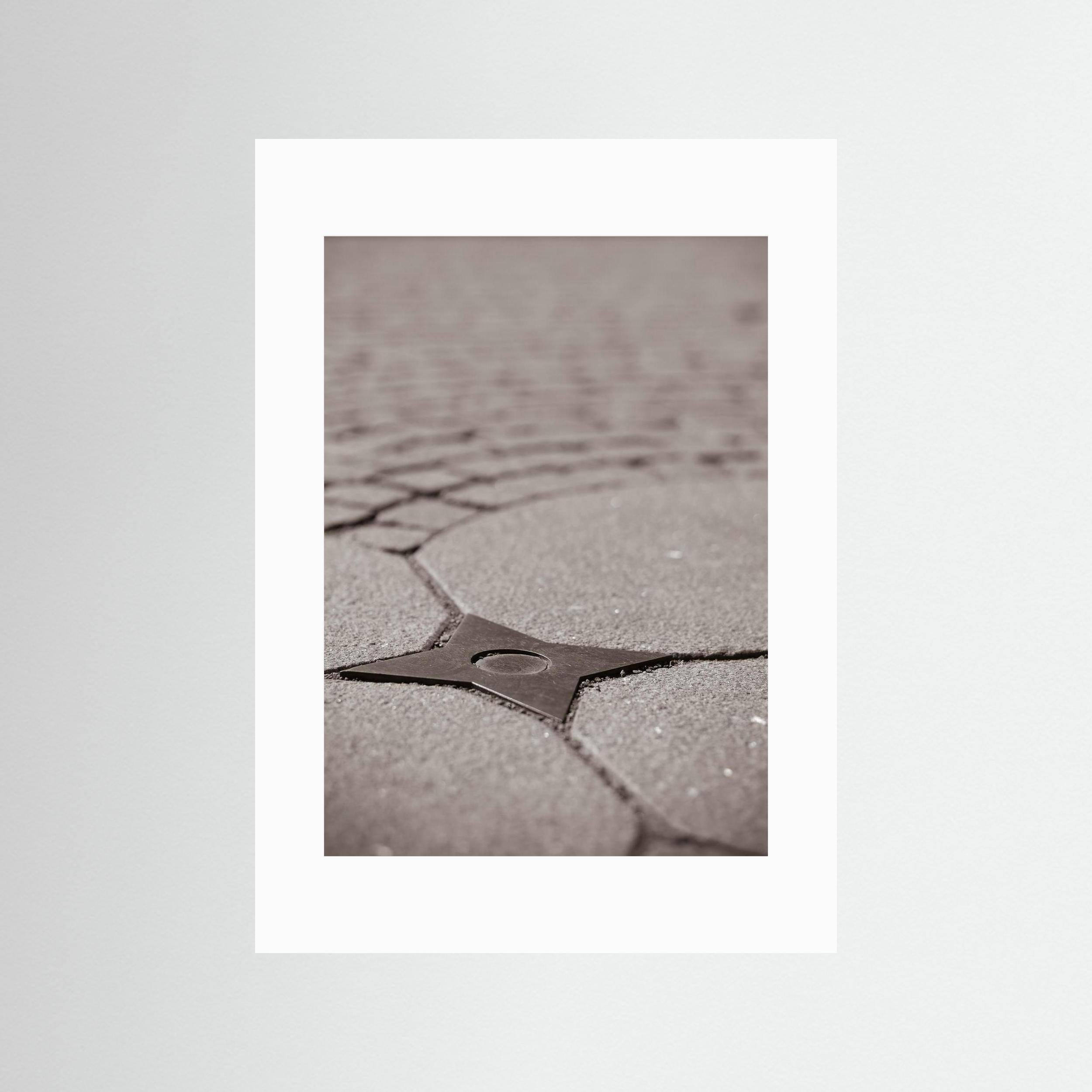 Star Queen - Fine Art Photography Paper Print