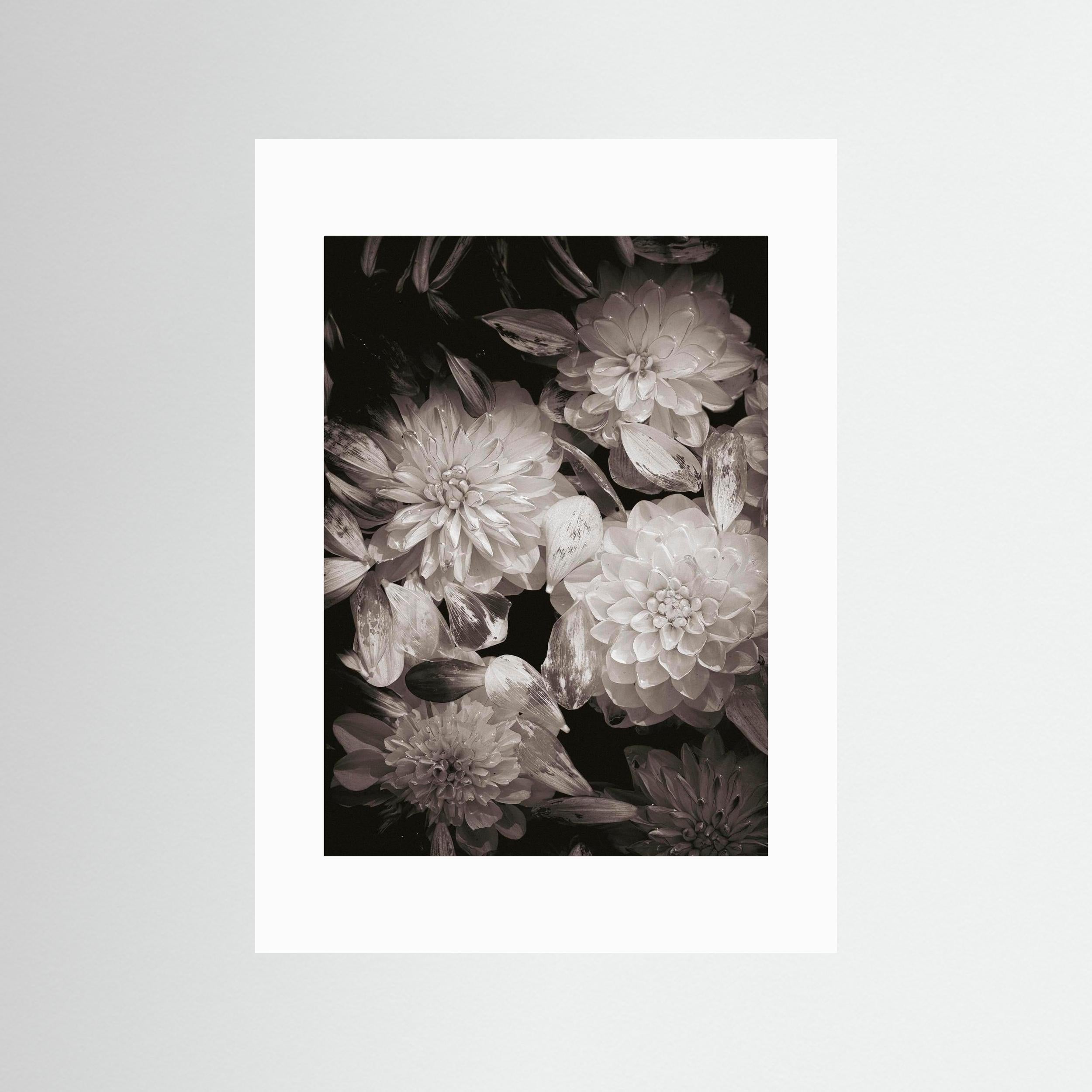 In Connection - Vintage, Fine Art Photography Paper Print