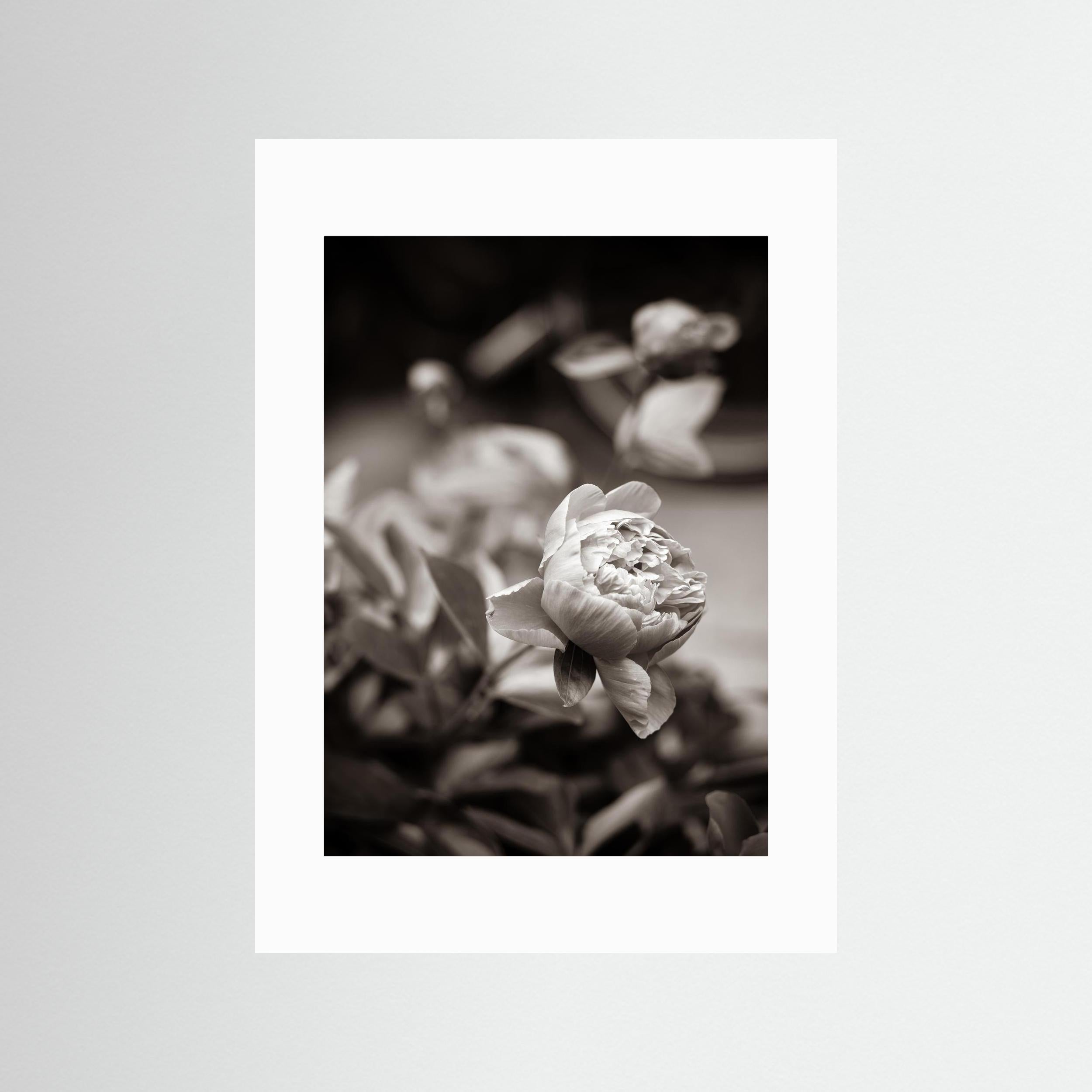 Continue to be - Vintage, Fine Art Photography Print
