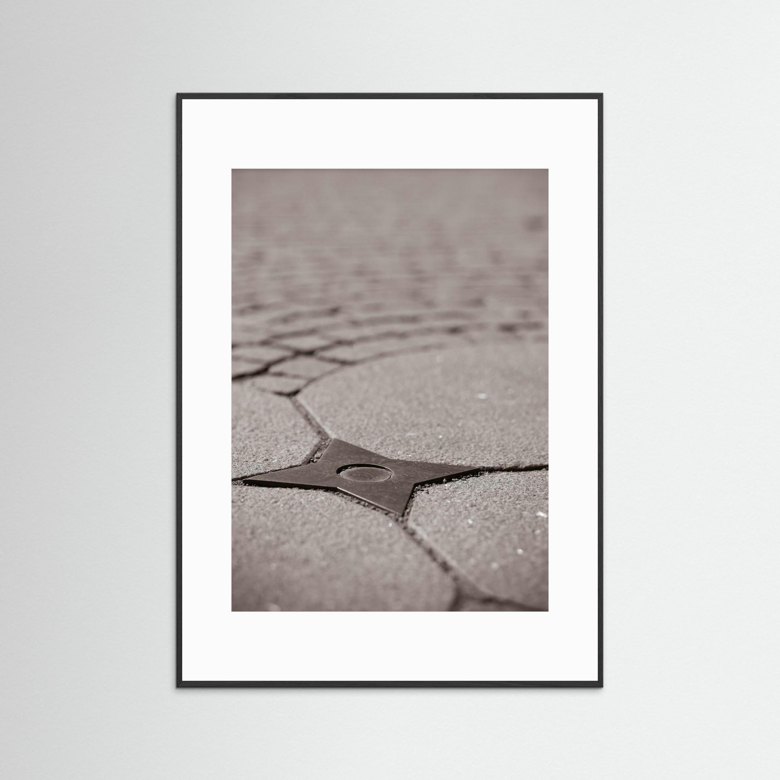 Star Queen - Fine Art Photography Paper Print