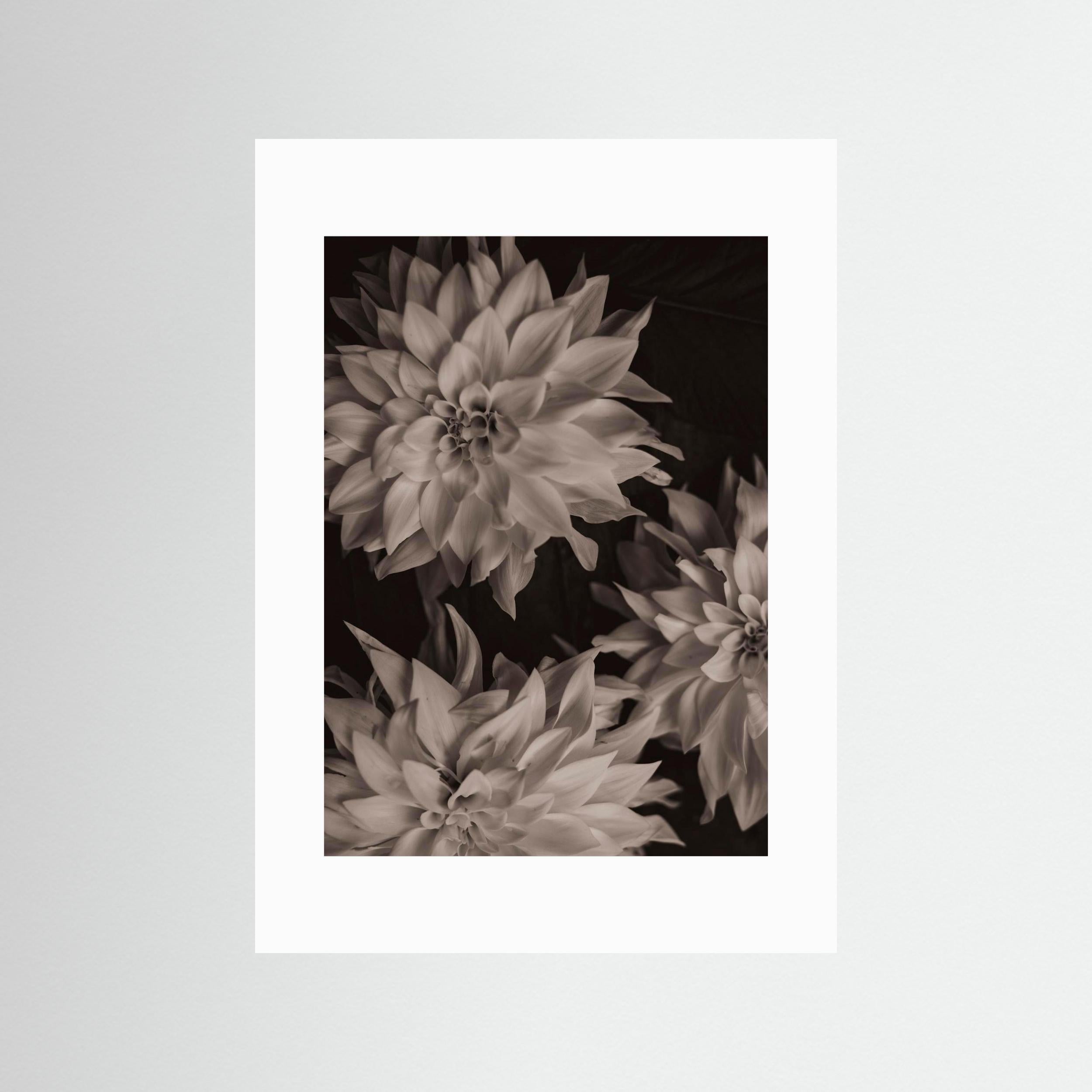 Spread your wings No. 3 - Fine Art Photography Print