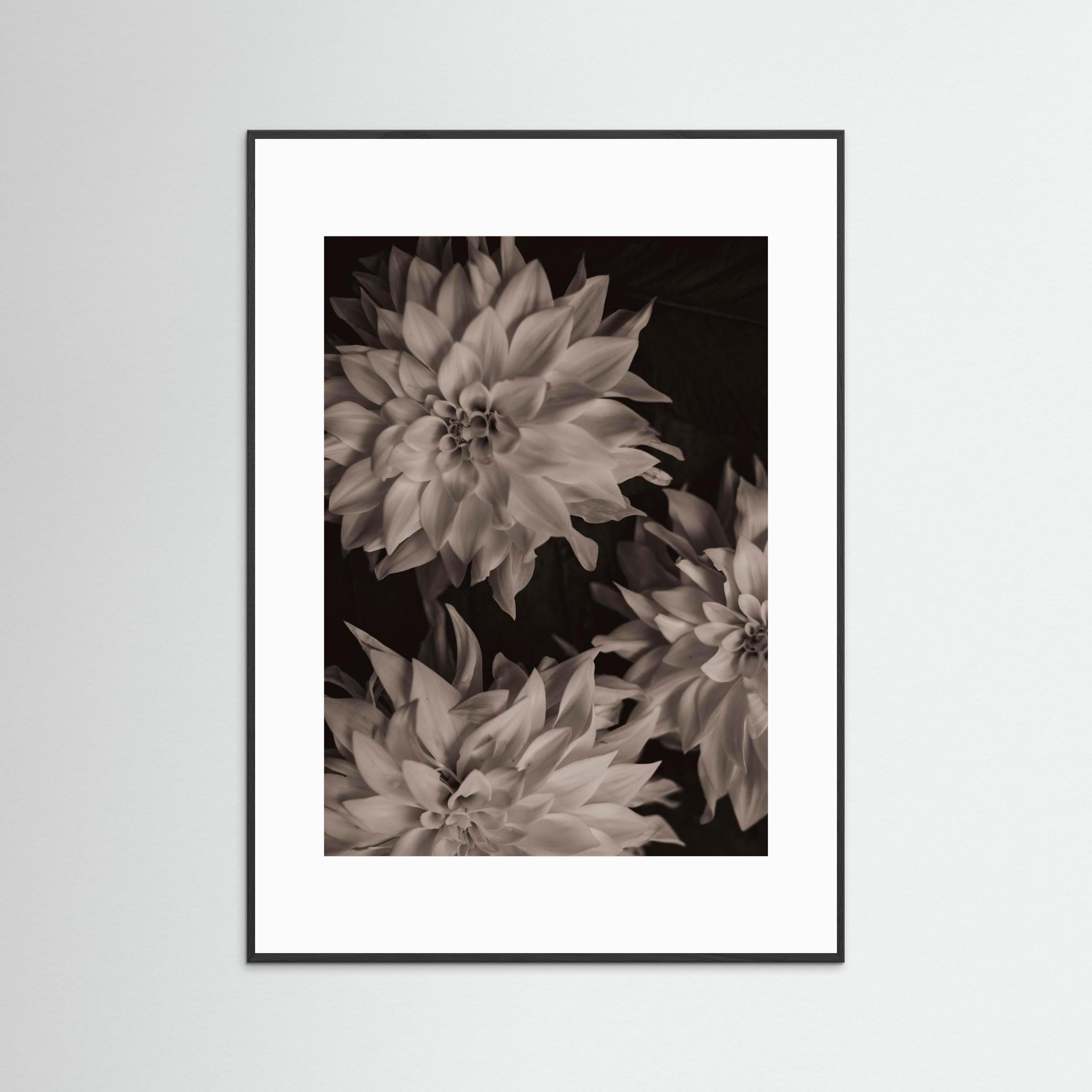 Spread your wings No. 3 - Fine Art Photography Print