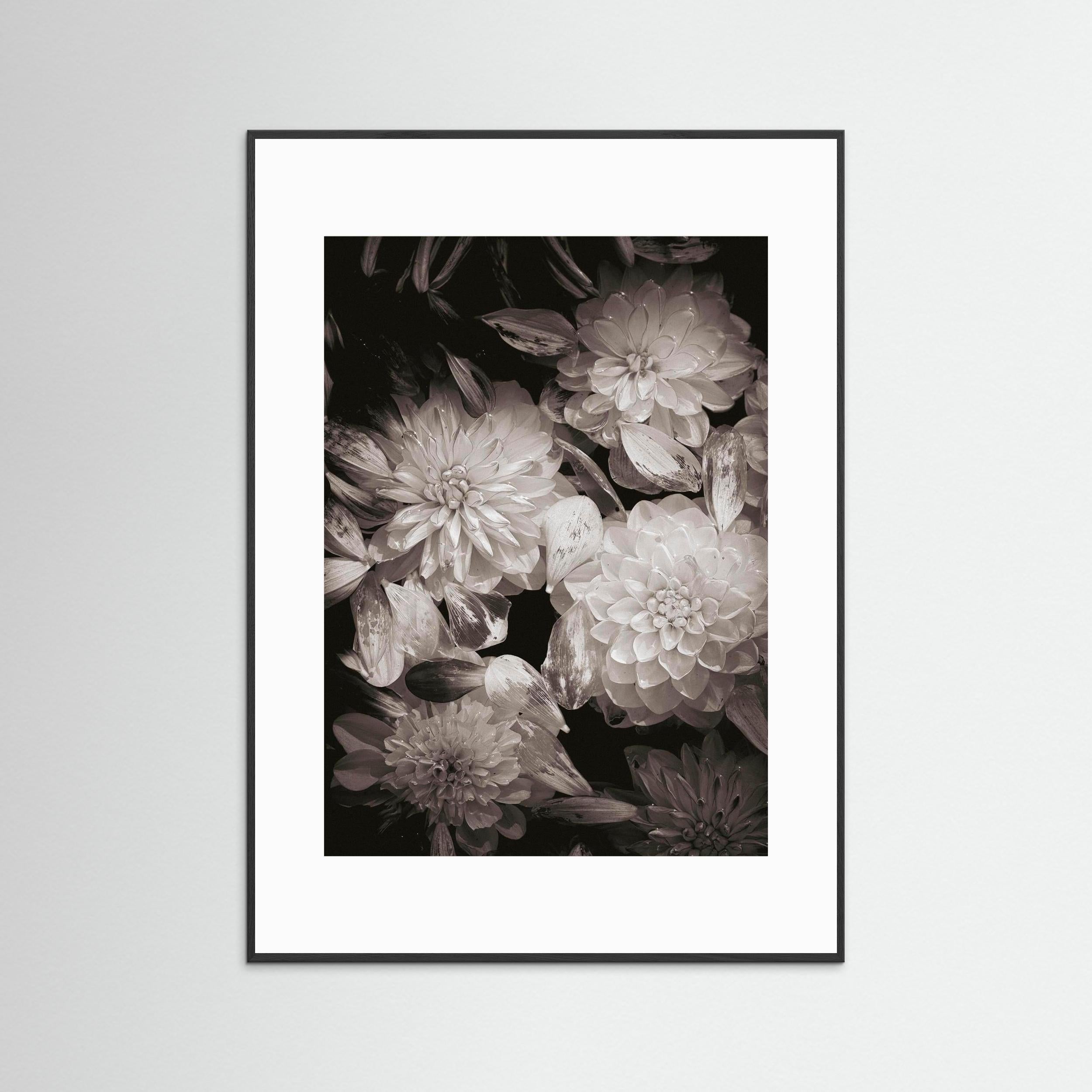 In Connection - Vintage, Fine Art Photography Paper Print