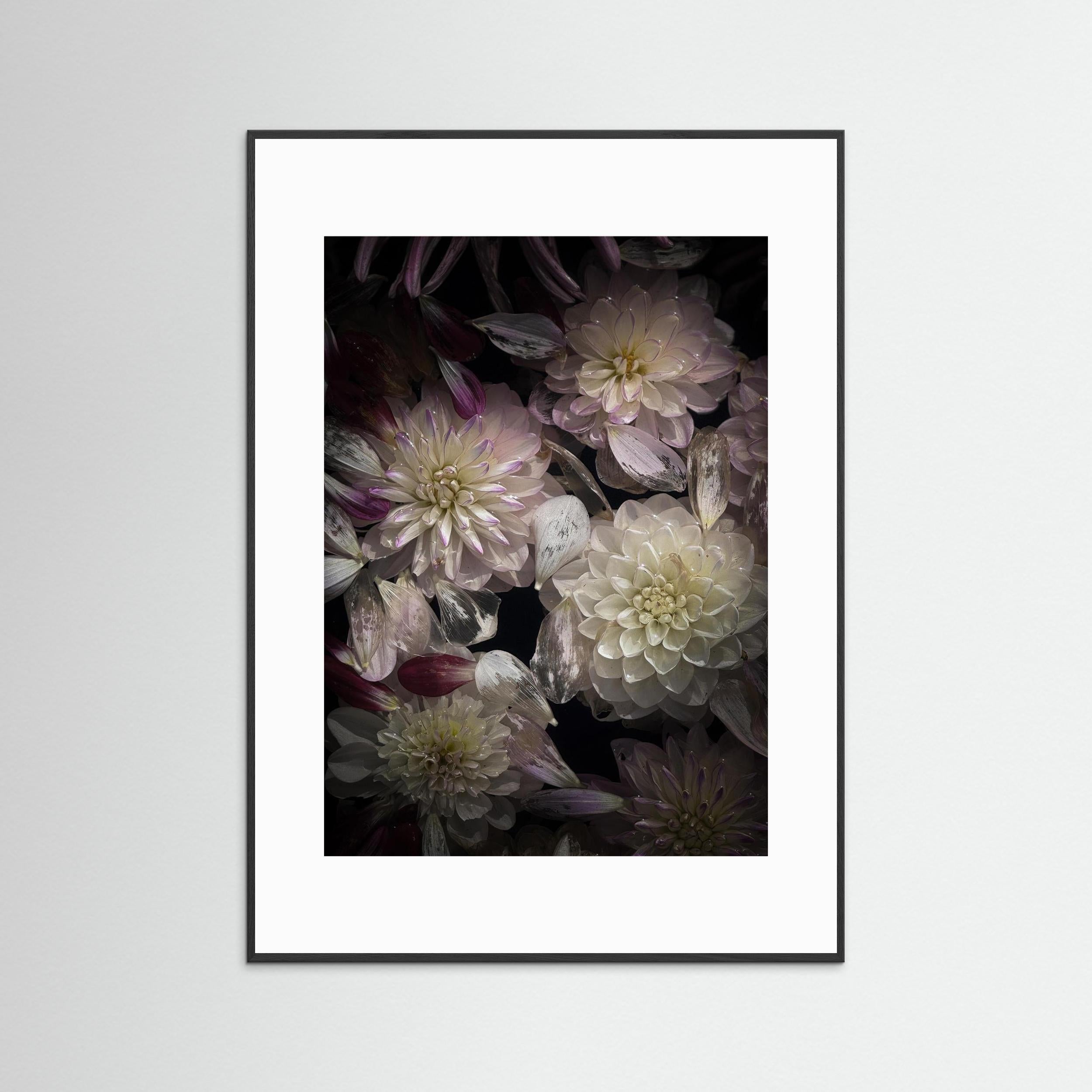In Connection, Colored  - Fine Art photography Print