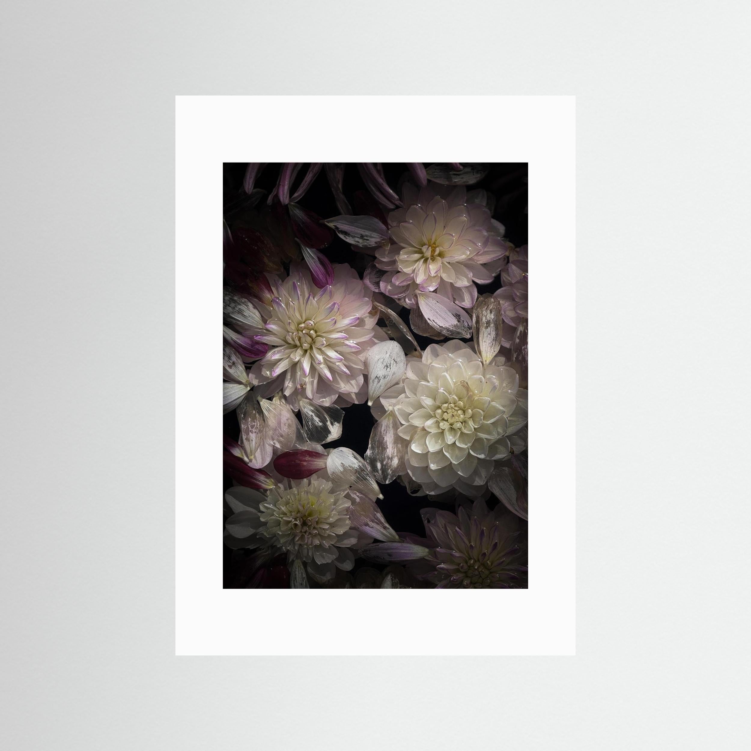 In Connection, Colored  - Fine Art photography Print