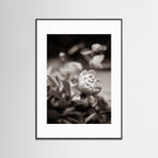 Continue to be - Vintage, Fine Art Photography Print