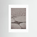 Star Queen - Fine Art Photography Paper Print