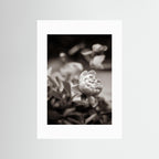 Continue to be - Vintage, Fine Art Photography Print