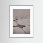 Star Queen - Fine Art Photography Paper Print