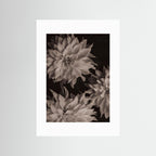 Spread your wings No. 3 - Fine Art Photography Print