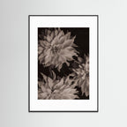 Spread your wings No. 3 - Fine Art Photography Print