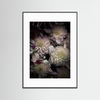 In Connection, Colored  - Fine Art photography Print