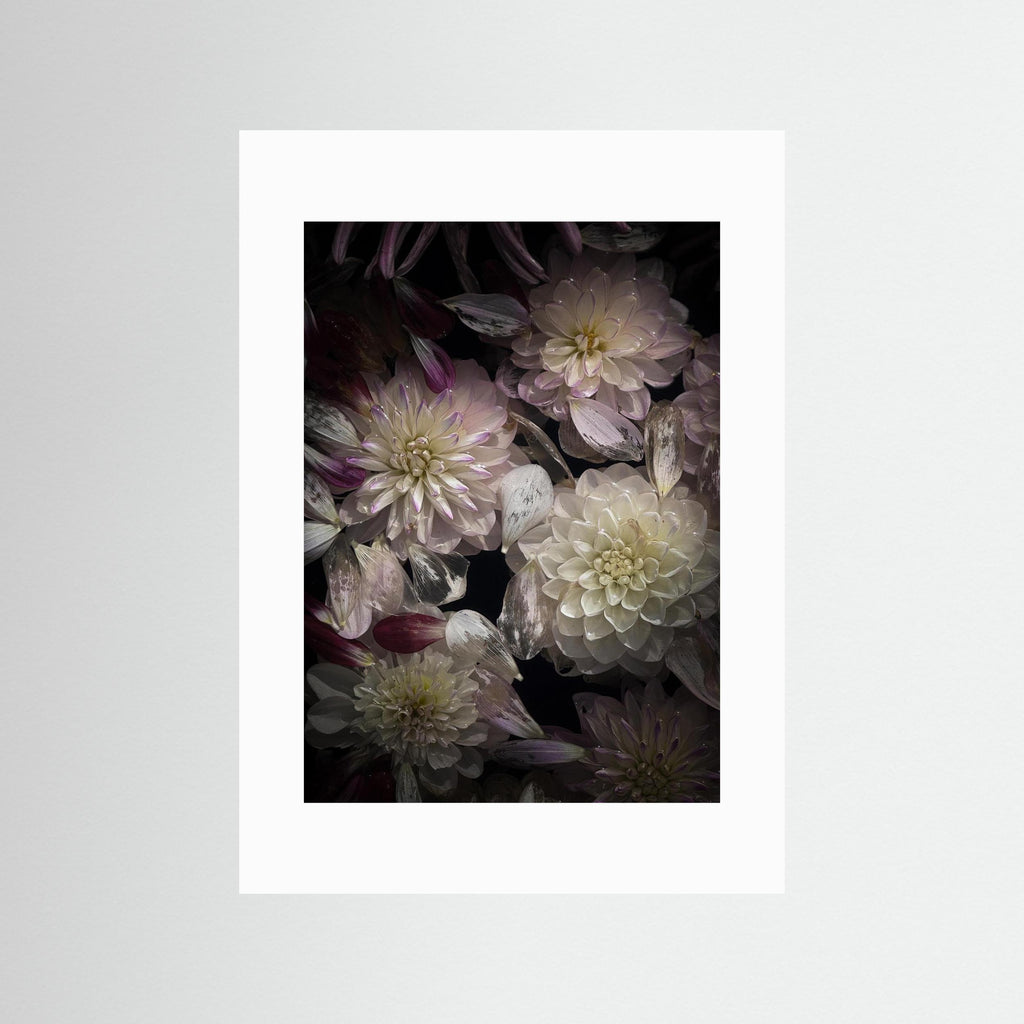 In Connection, Colored  - Fine Art photography Print